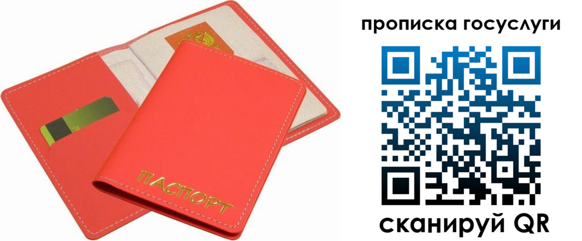 прописка иностранных граждан в Жукове